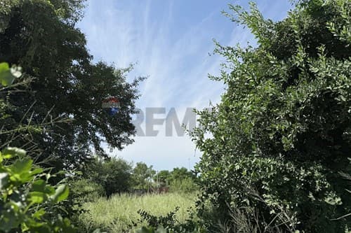 Terreno en Filadelfia, foto 3