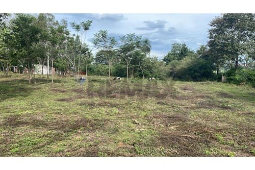 En venta 5ha - terreno en caaguazú — foto 3