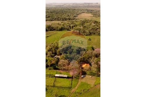 Campo de 80 hectáreas en San Pedro del Paraná — foto 3