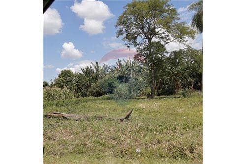 Terreno a metros de la Playa San Juan del Paraná — foto 2