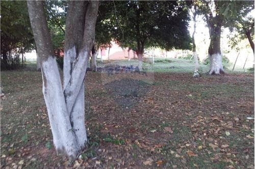 Terreno en excelente ubicacion a metros de ruta 1, foto 5