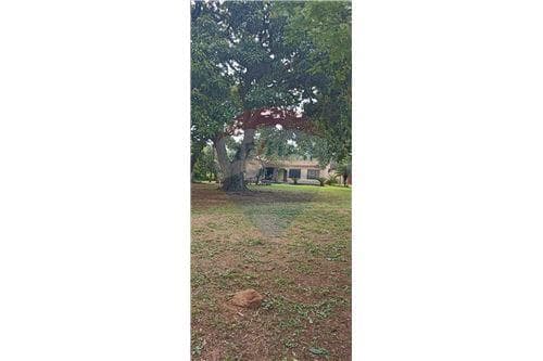 Terreno en venta en Valenzuela, foto 4
