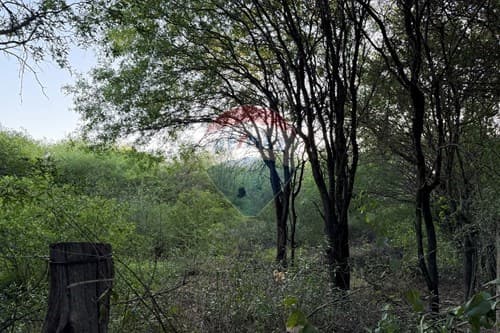 Terreno con Casa en Cruce Boquerón