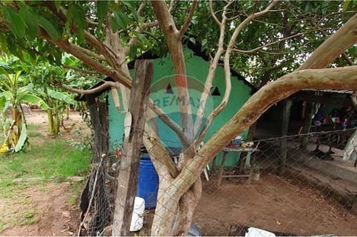 Casa en Bernardino Caballero, foto 4