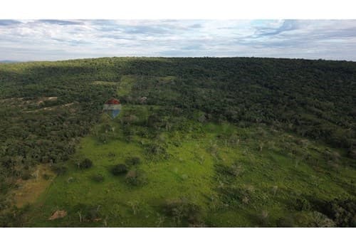 ✨ Estancia Ramonita de 368 hás. en Ybycuí ✨ — foto 4