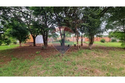 Terreno Ideal en Hernandarias — foto 5