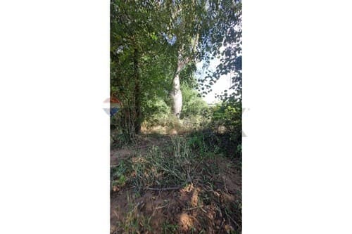 2 terrenos juntos, loma plata — foto 4