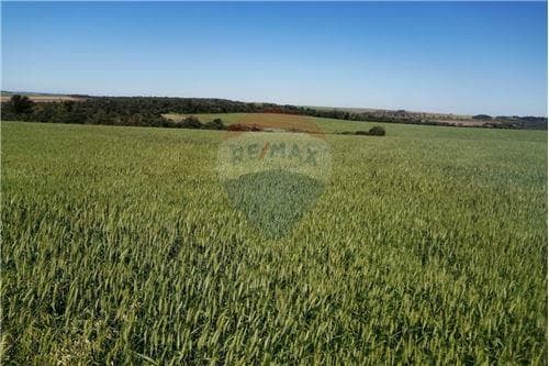 En venta terreno de 35 has. 8871 m2 en itapúa poty — foto 5