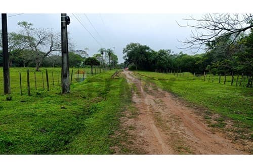 Terreno en venta de 11 hectáreas + 9.000 m², foto 4