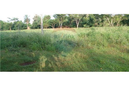 Amplio terreno en venta a sólo 80 mts de la ruta!, foto 5