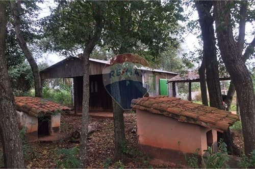 1.4 hectareas en santani, foto 4