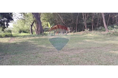Campo en atención inversionistas, aregua — foto 4