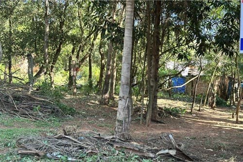 Terreno en caacupé — foto 3