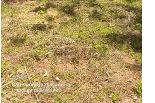 Terreno en venta en Cañadita Ñemby – 2.130 m² — foto 5