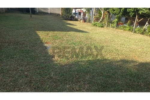 Terreno en San Lorenzo: ¡Inversión Ideal!