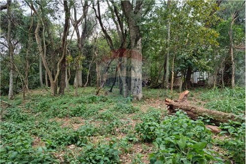 de Gran Terreno en Urbanización Surubi'i — foto 2