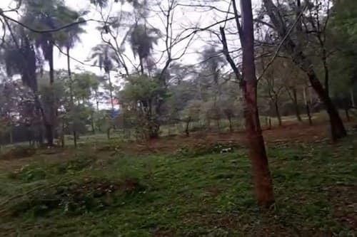 Terreno de 5000m² Caacupé - Cabañas — foto 3