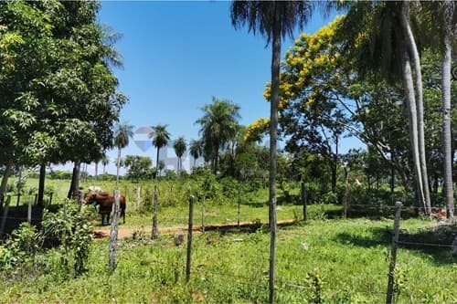 Oportunidad de inversión (3 Ha y 7.293 m²), foto 3