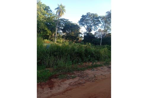 Terreno en Luque — foto 3