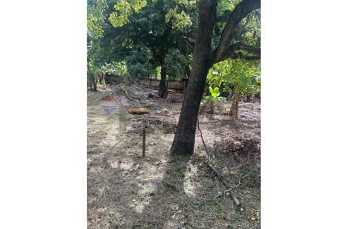 Terreno en Caacupe, foto 4