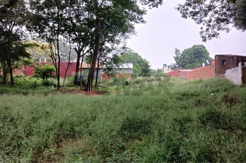 terreno en Ñemby - Mbocayaty — foto 3