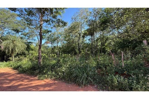 Terreno en venta 12.662m2 en esquina en Luque, foto 5