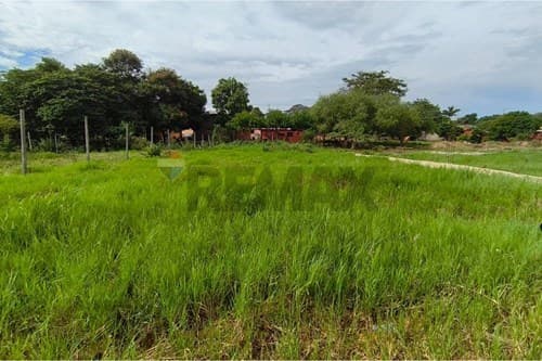 Terreno Ideal de 360m² en Luque — foto 3
