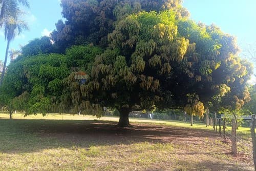 Terreno en Venta en Piribebuy !Inversión Ideal — foto 3