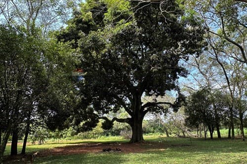 "Serene 3BR Country Home with Pool in Itauguá" — foto 2
