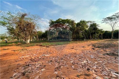 Terreno z/ Ruta Uruguay límite c/ Ñemby, foto 3