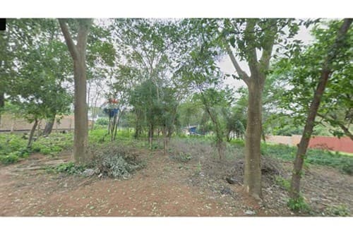 Terreno en Villa Elisa — foto 4
