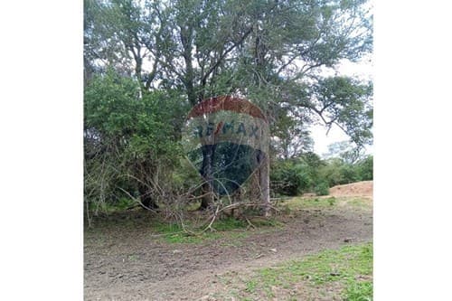 "Campo Virgen en Venta: 500ha en el Chaco Py" — foto 2