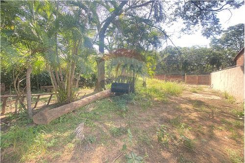Terreno en venta – Zona Isla Verde,Luque — foto 5