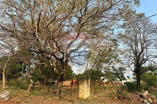 Terreno en Terreno titulado, San José — foto 4
