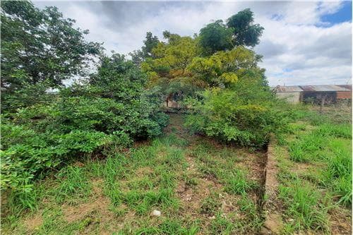 Terreno en Venta – Carmen del Paraná - Itapua — foto 5