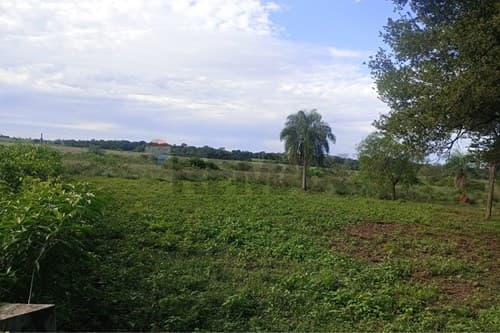 Propiedad Rural de 77 has. zona 25 de Dicembre