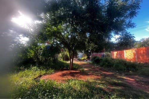 Terreno Ideal en San Antonio: ¡Inversión Perfecta! — foto 5