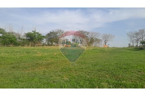 Terreno para casa quinta km 12 acaray, foto 3