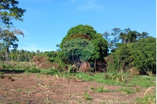 Terreno de 4.250 m² en Caacupé Oportunidad Única — foto 4