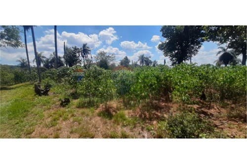 En venta 8 has en Altos, foto 2