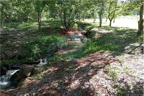 Bello, tranquilo y amplio TERRENO - VENTA — foto 4