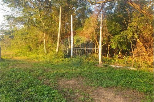 Terreno en Gran Pontencial, Paraguarí, foto 3
