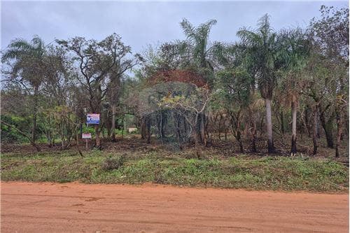 Terreno en Ypacarai — foto 3