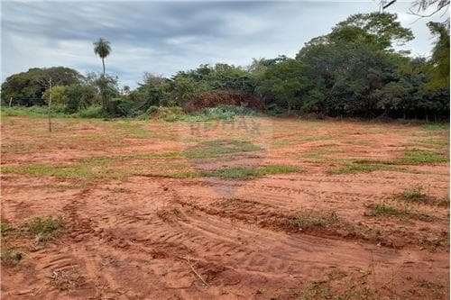 Vendo terreno de 5478 m2 en colonia ypané - cocué