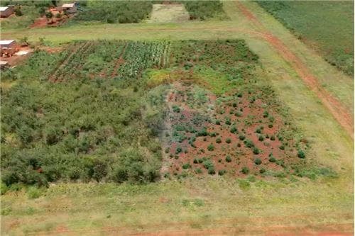 En venta dos terrenos juntos en minga guazu — foto 3