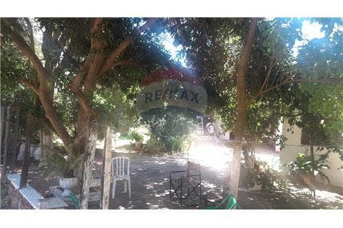 Terreno de 21 Mts de Frente, con salida a 2 calles — foto 3