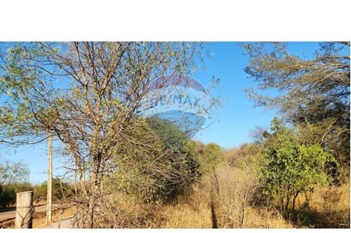 En venta terreno — foto 4