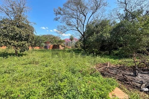 Amplio terreno en san antonio/Villa Elisa, foto 5