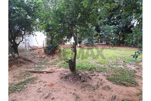 ¡Terreno de gran extensión sobre ruta en venta! — foto 5