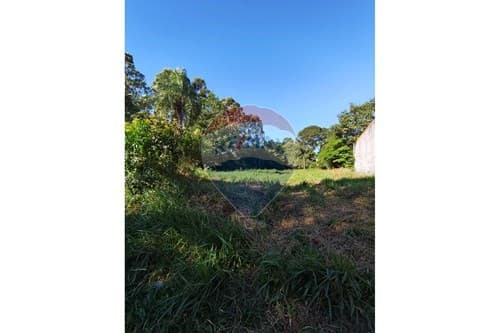 "Terreno Perfecto para Tu Hogar en Trinidad" — foto 2